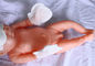 Μη - υφαμένο υφασμάτων μίας χρήσης μωρών μέγεθος Λ S γαντιών χεριών μωρών προϊόντων νεογέννητο προμηθευτής