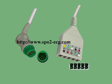 Κίνα Καλώδια 12 πόδι 10 μολύβδου SIEMENS ECG καρφίτσα, έγκριση CE καλωδίων 5 μολύβδου ECG προμηθευτής
